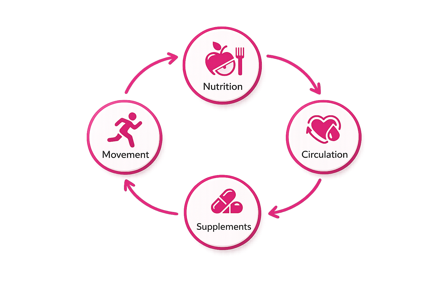 Diagram of the four interconnected factors that drive the Cellulite Fix system